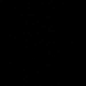 Meet your Posher, Lexi